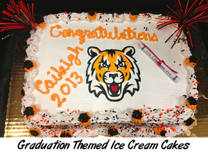 view graduation ice cream cakes