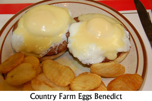 Country Farm Eggs Benedict