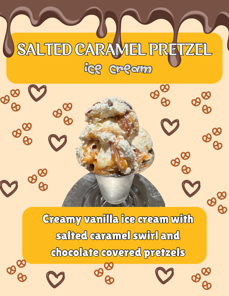 Salted Caramel Pretzel Ice Cream - Creamy Vanilla Ice Cream with Salted Caramel Swirl and chocolate covered Pretzels